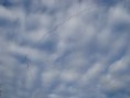 /album/a2010/husy-tahnou-na-jih-28-10-2010-jpg/
